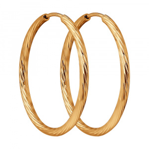 (51-124-01965-1) (Серьги) (Au 585)